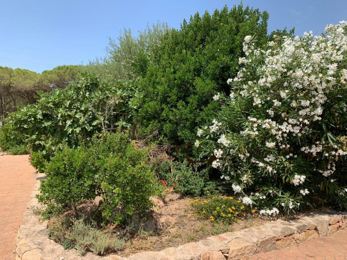 Hotel Club Ragno D'Oro Olbia Tempio Zewnętrze zdjęcie